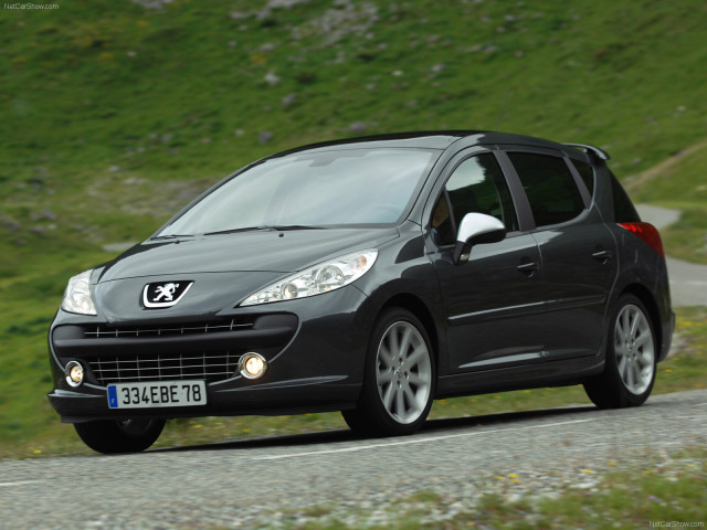 peugeot 207 sw rc pic #46815