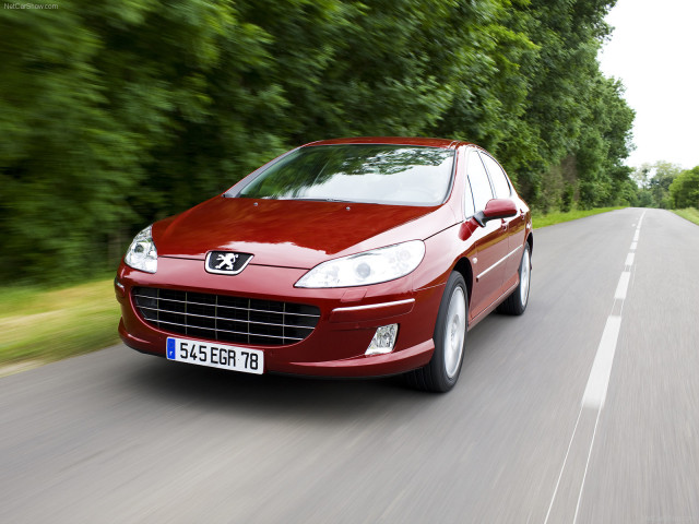 peugeot 407 pic #56466