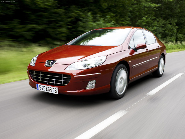 peugeot 407 pic #56467