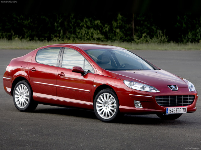 peugeot 407 pic #56470