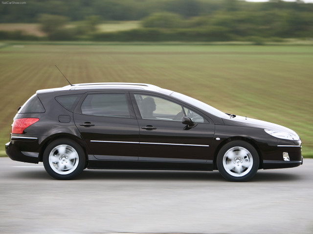 peugeot 407 sw pic #56479