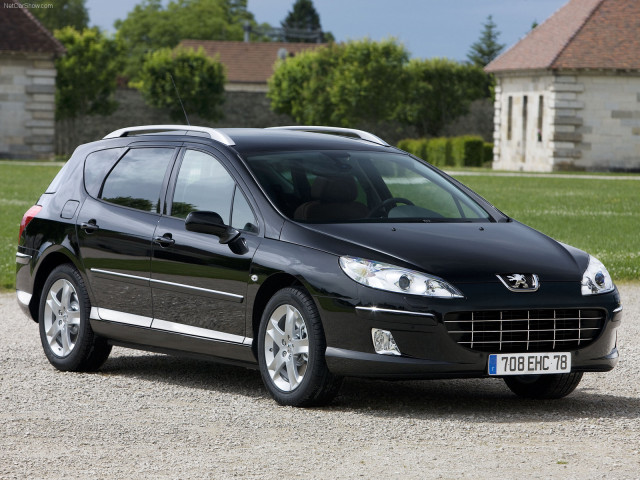 peugeot 407 sw pic #56483