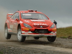 307 WRC photo #95848