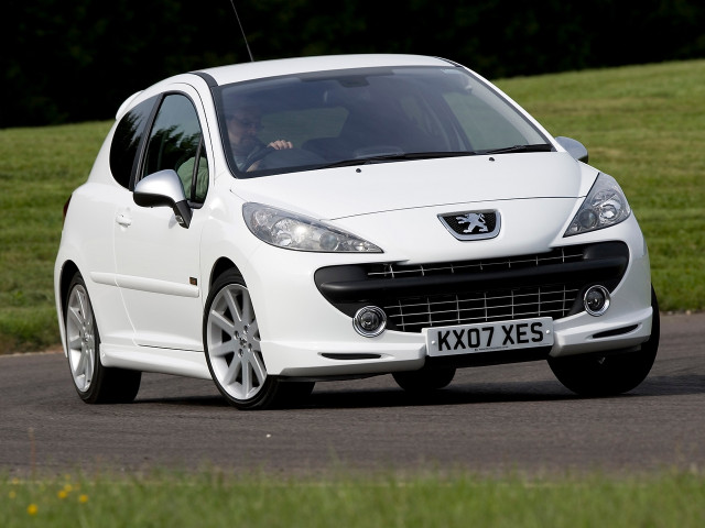 peugeot 207 pic #97930