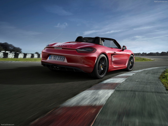 porsche boxster gts pic #113825