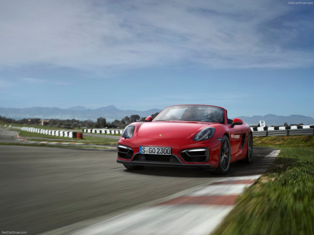 porsche boxster gts pic #113827