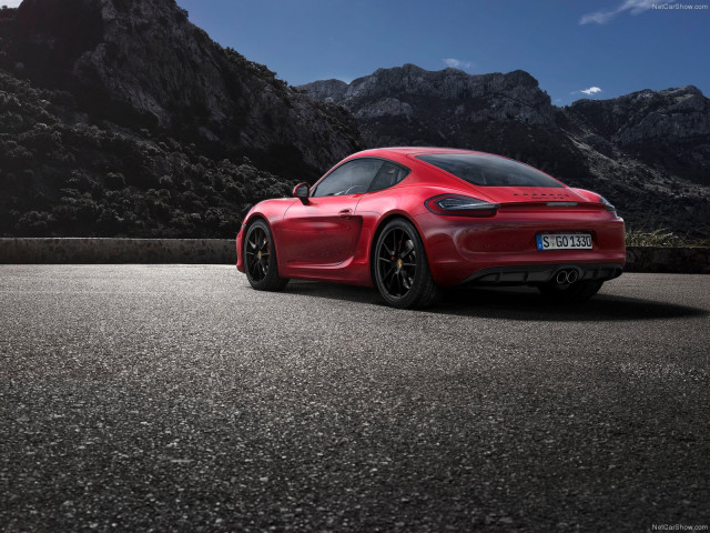 porsche cayman gts pic #113831