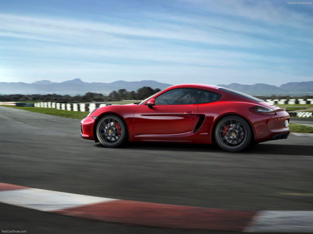 porsche cayman gts pic #113832