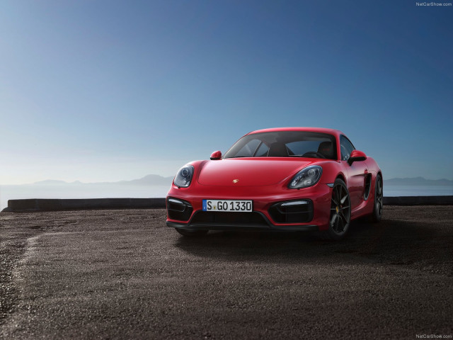 porsche cayman gts pic #113833