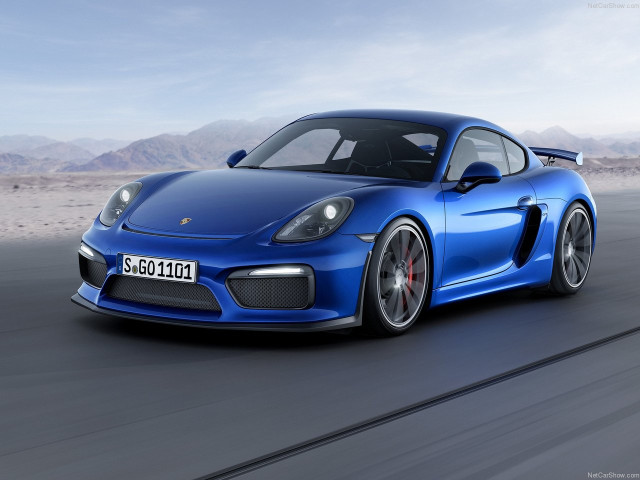 porsche cayman gt4 pic #143105