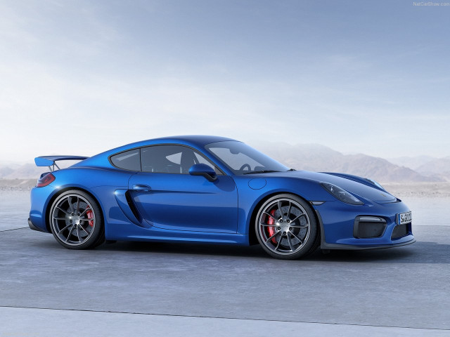 porsche cayman gt4 pic #143107