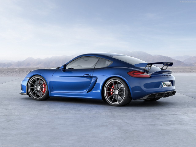 porsche cayman gt4 pic #143109