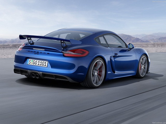 porsche cayman gt4 pic #143110