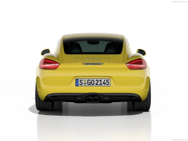 porsche cayman pic #147145