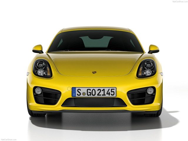 porsche cayman pic #147146