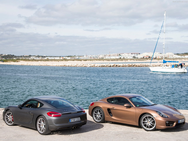 porsche cayman pic #147154