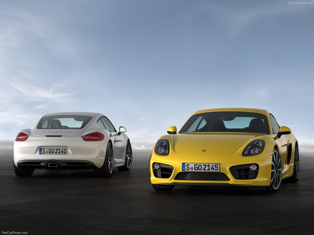 porsche cayman pic #147155