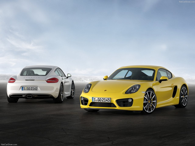 porsche cayman pic #147156