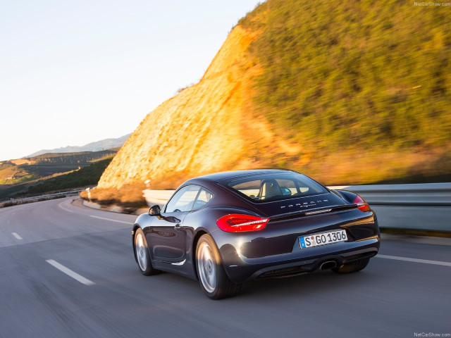 porsche cayman pic #147157