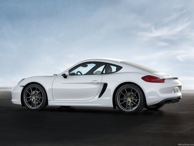 porsche cayman pic #147160