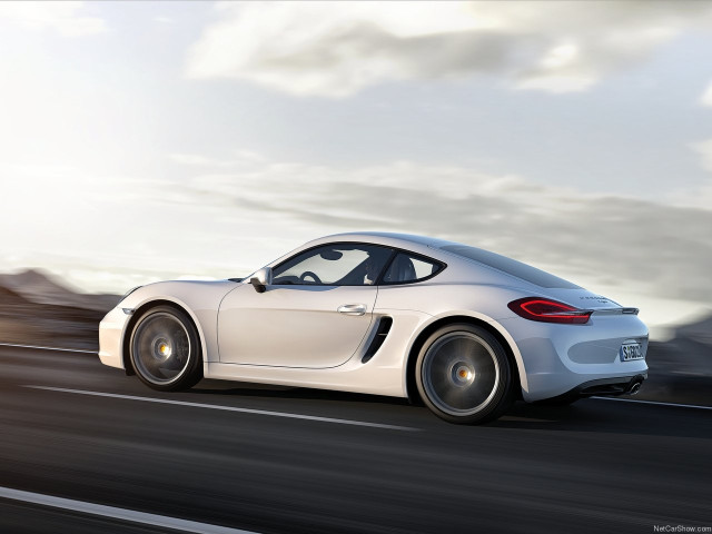 porsche cayman pic #147161