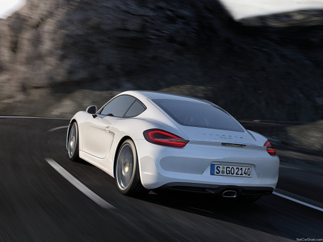 porsche cayman pic #147162