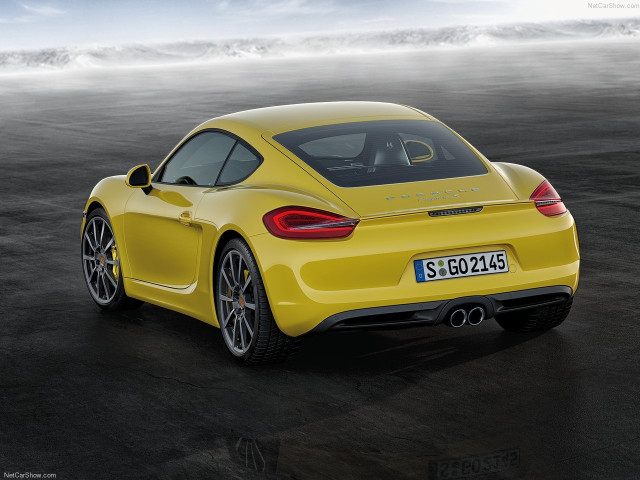 porsche cayman pic #147163