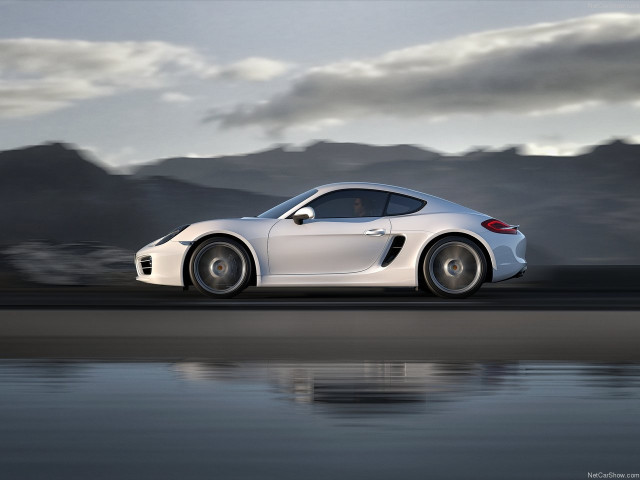 porsche cayman pic #147165