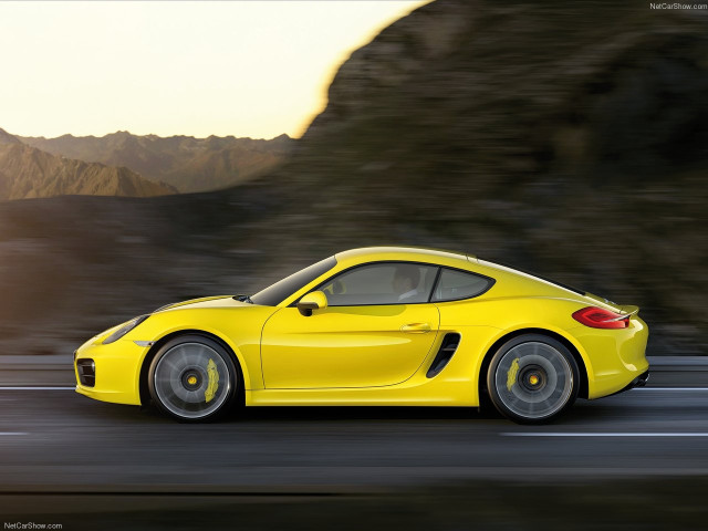 porsche cayman pic #147166