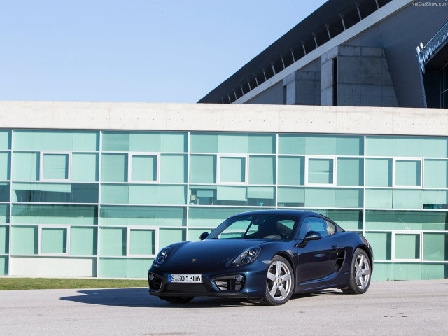 porsche cayman pic #147167