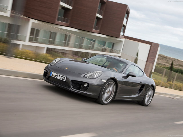 porsche cayman pic #147168