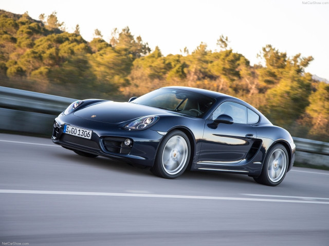 porsche cayman pic #147169