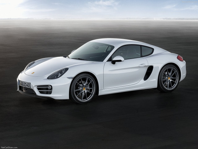 porsche cayman pic #147170