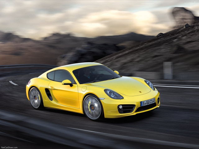 porsche cayman pic #147173