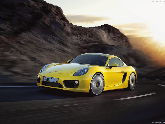 porsche cayman pic #147178