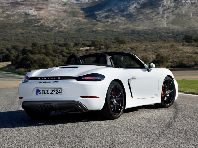 porsche 718 pic #183901