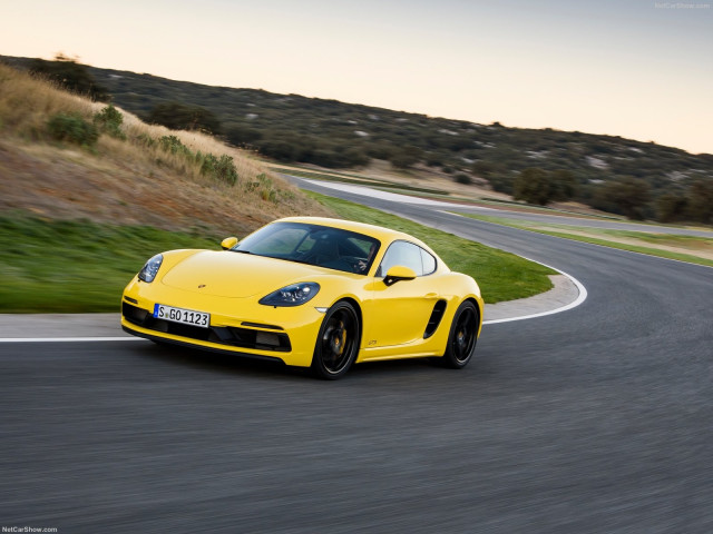 porsche cayman gts pic #183926