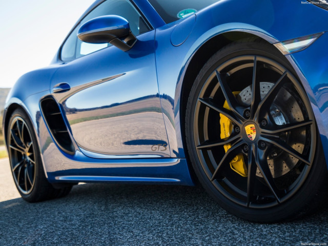 porsche cayman gts pic #183941