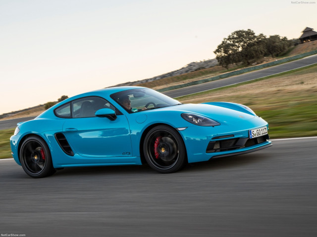 porsche cayman gts pic #183957