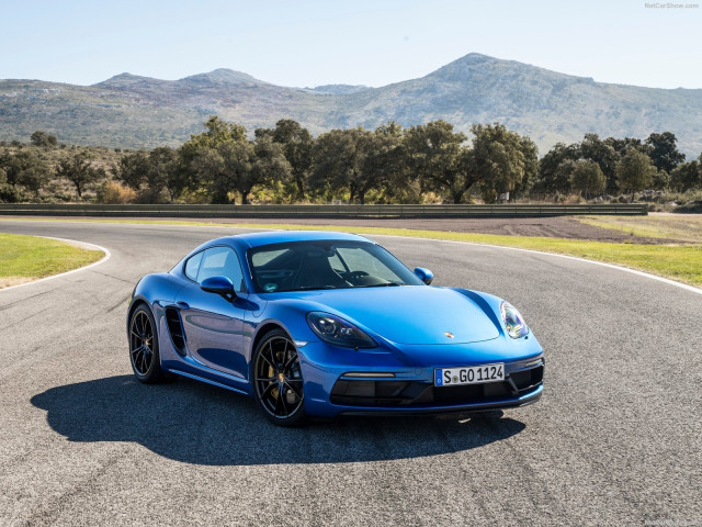 porsche cayman gts pic #183963