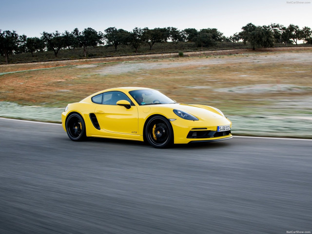 porsche cayman gts pic #183964