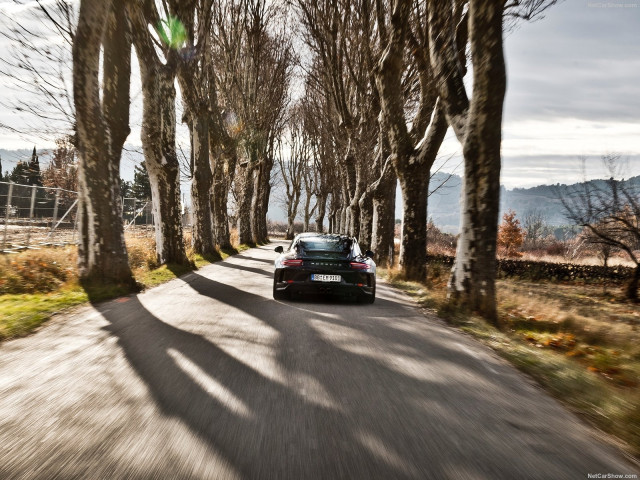 porsche 911 gt3 pic #184607