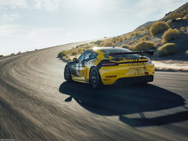 porsche cayman gt4 pic #192770