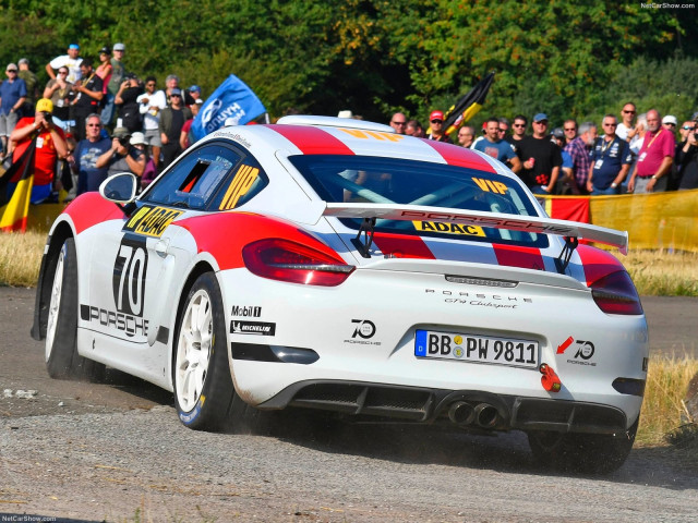 porsche cayman gt4 pic #193300