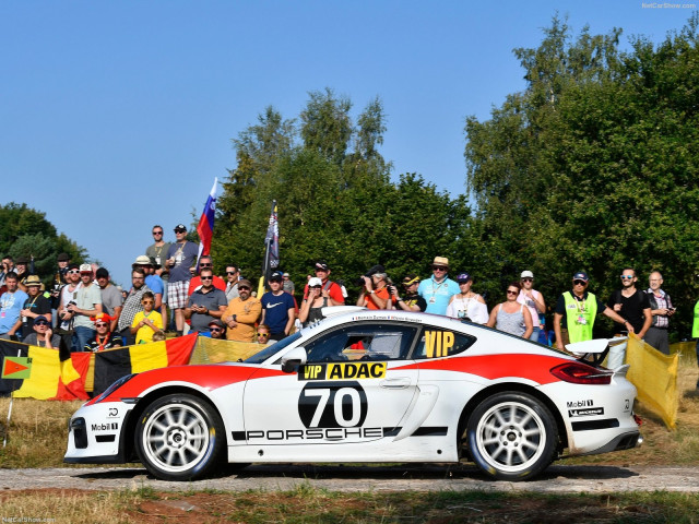 porsche cayman gt4 pic #193301