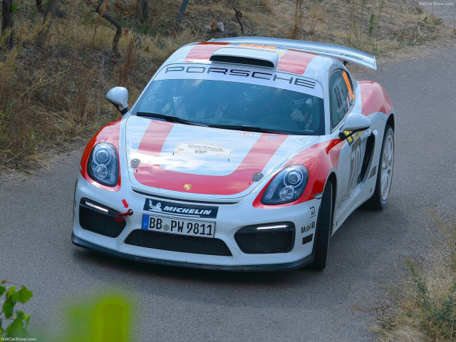 porsche cayman gt4 pic #193302