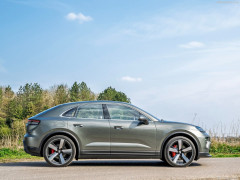 Macan photo #206964
