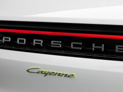 Cayenne photo #210313