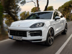 Cayenne photo #210320