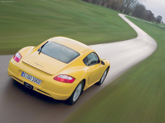 porsche cayman pic #35040